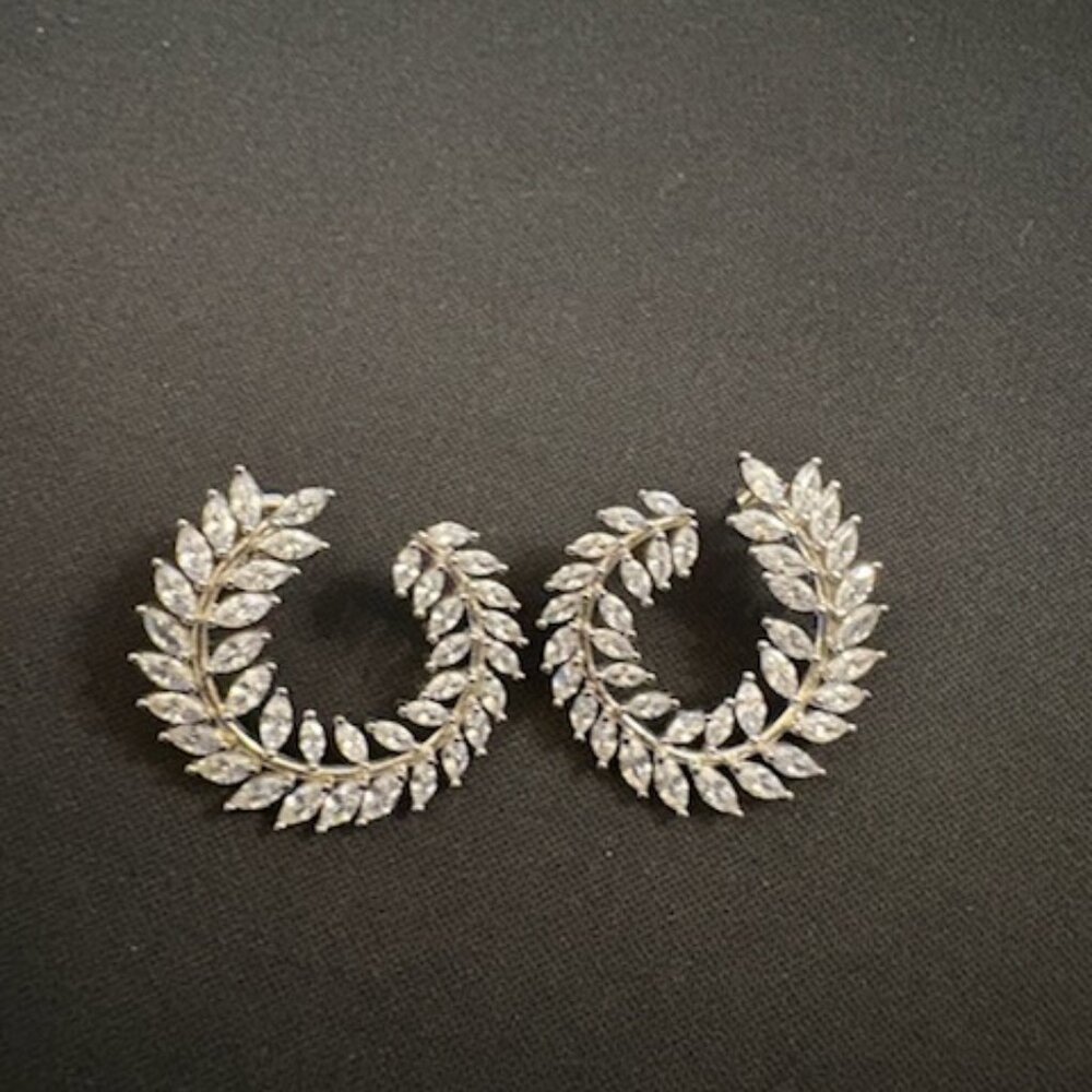 1 Pair of High End Silver Earrings